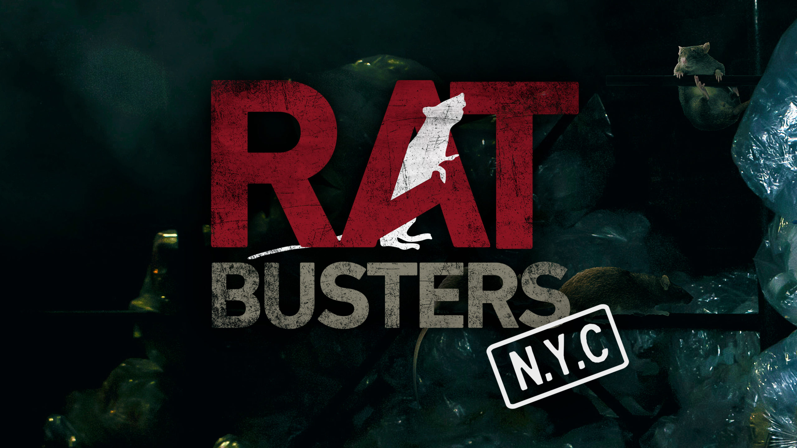 RATBUSTERS